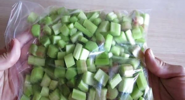 Jak správně zmrazit rebarboru na zimu doma a je to možné